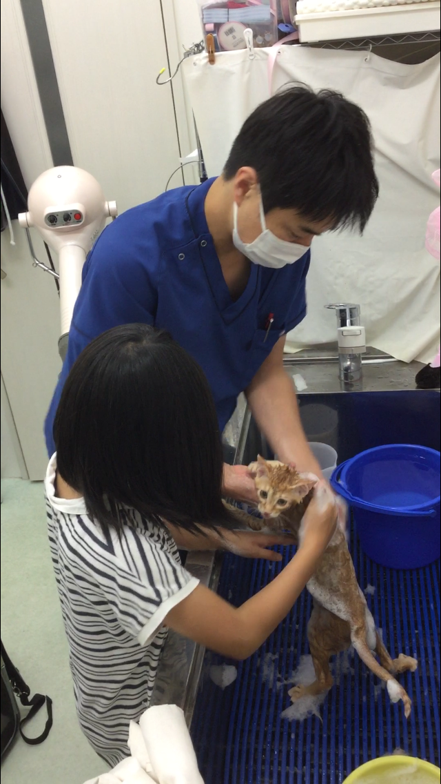 安子ちゃんは私が命名