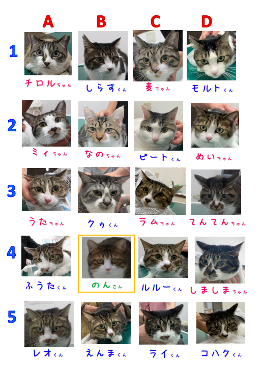 こたえ