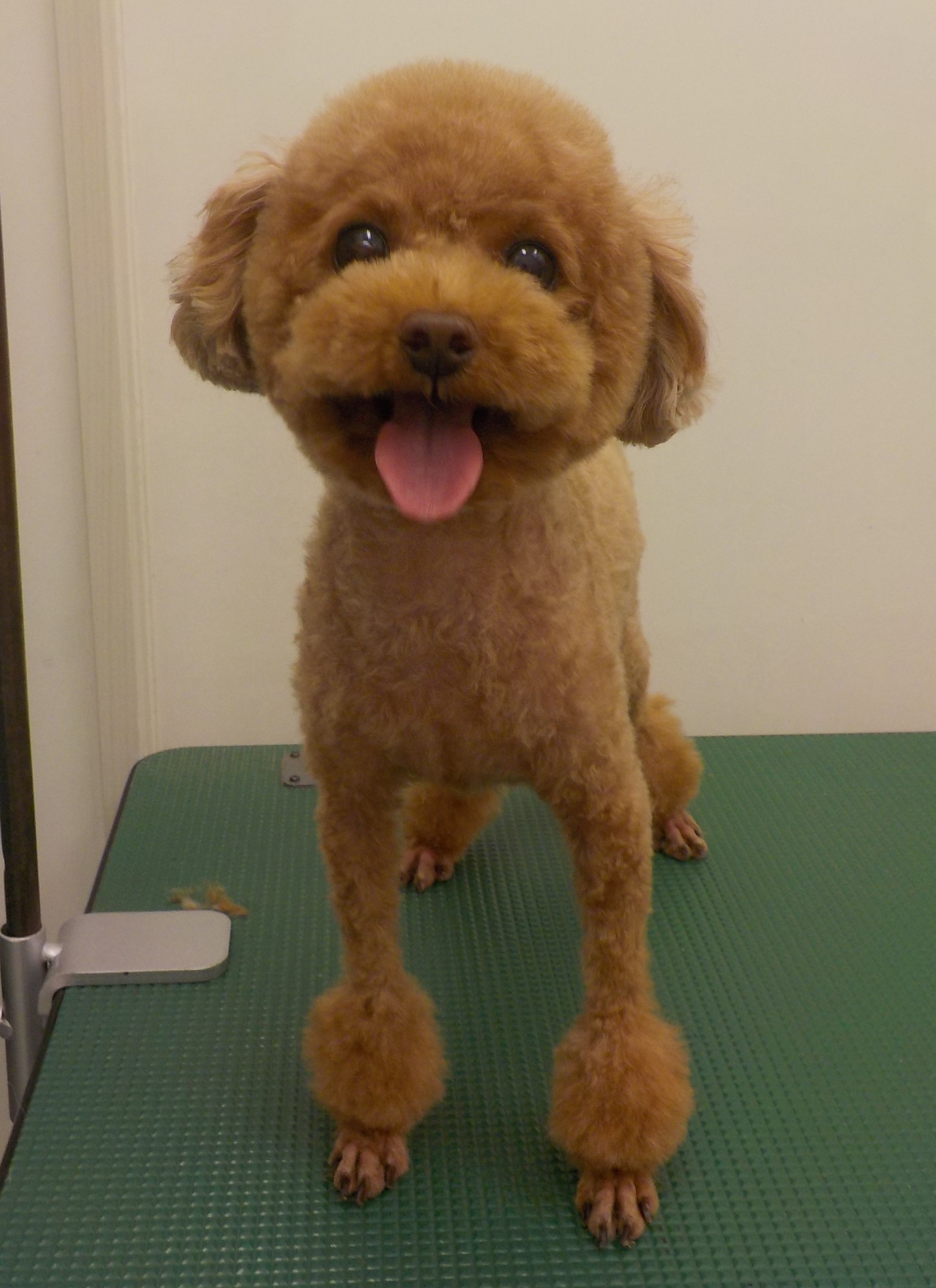 Barneyくん