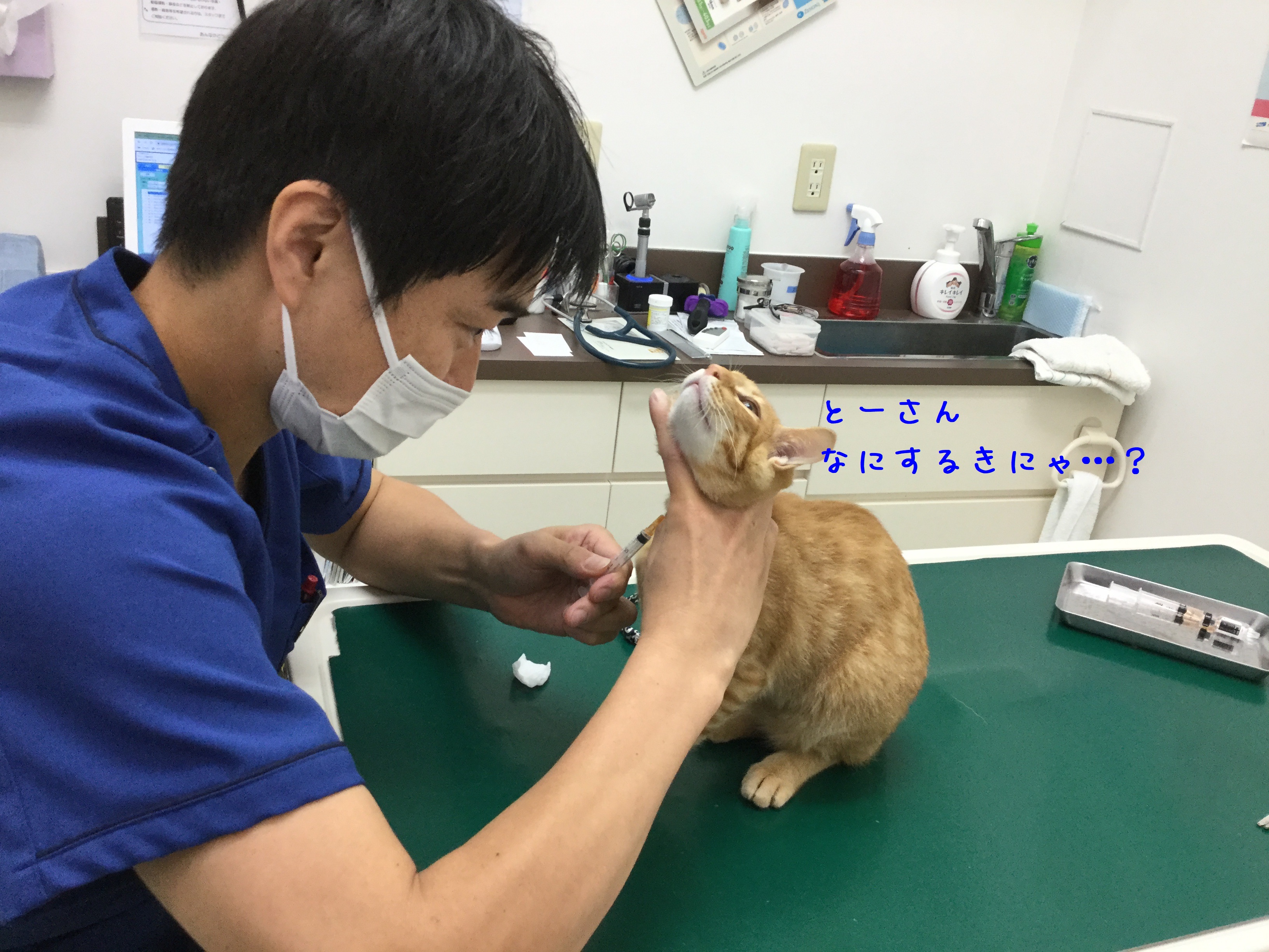 ドキドキ