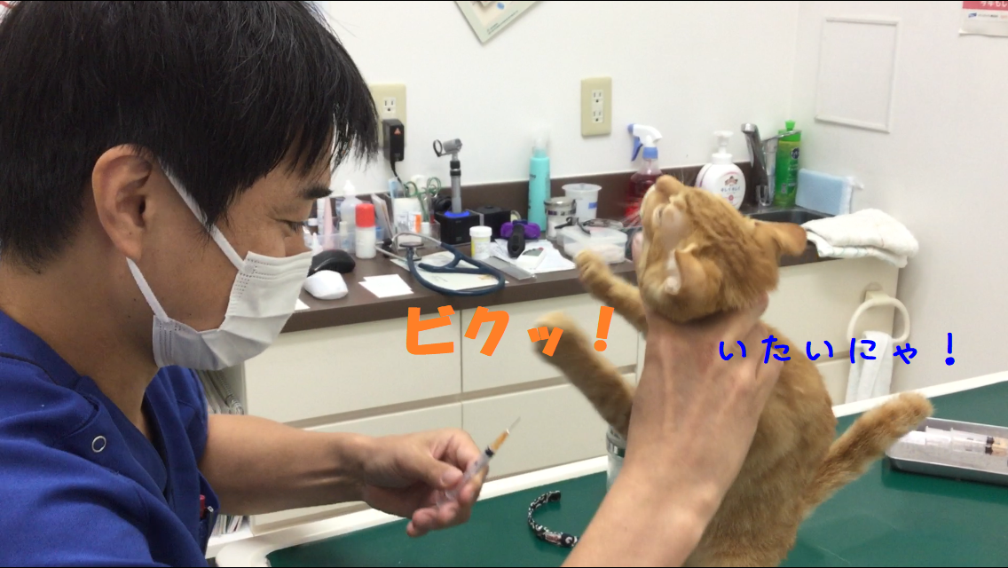 いて
