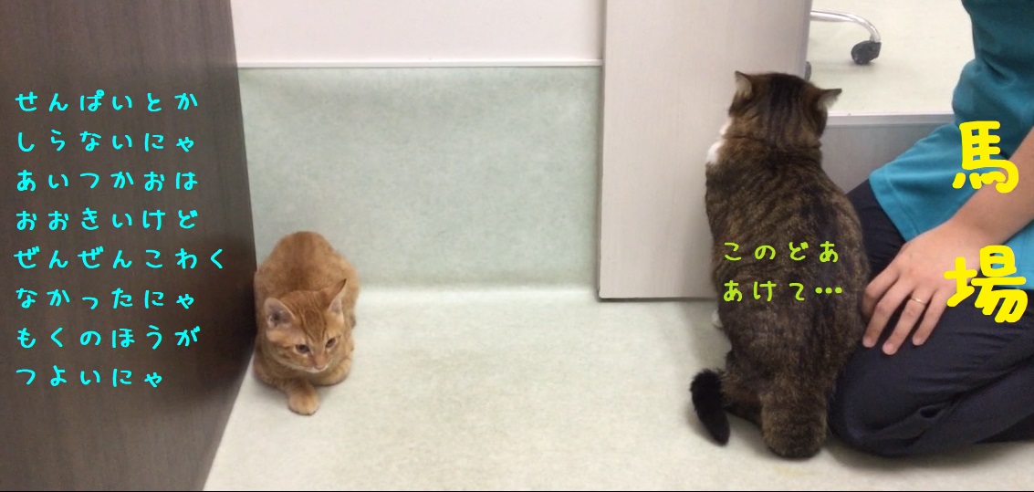 ぴったし