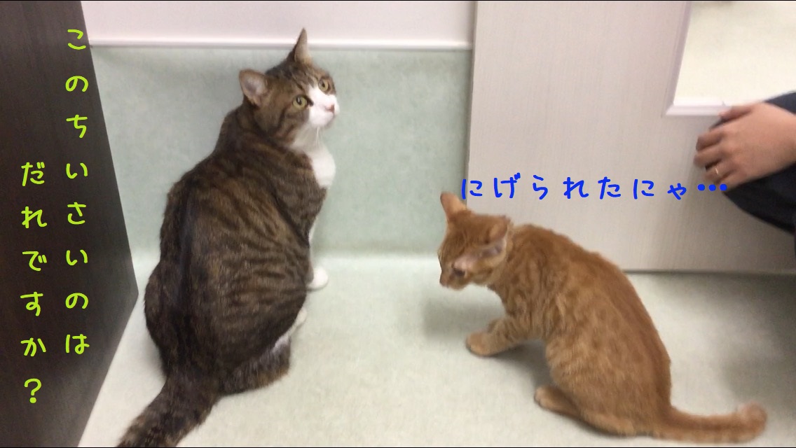 ソーシャルディスタンス