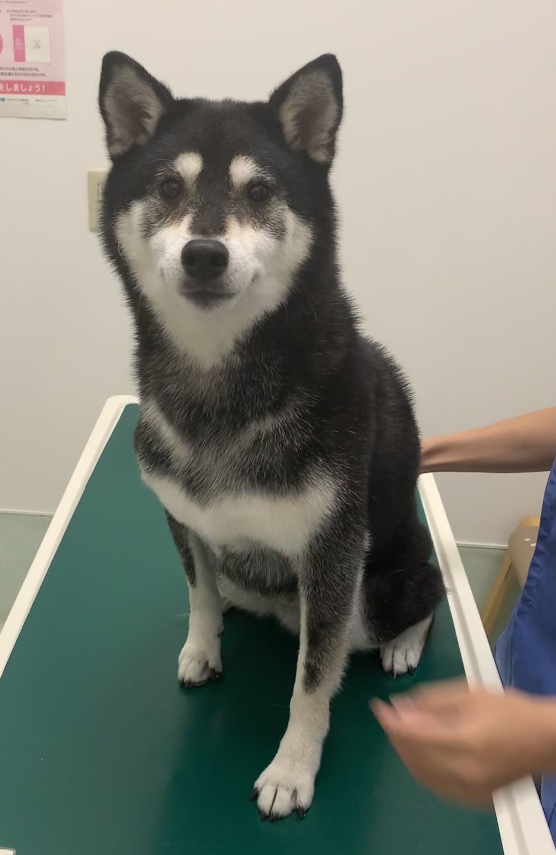 ユクくん