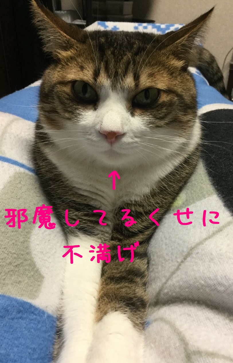 ど〜ん
