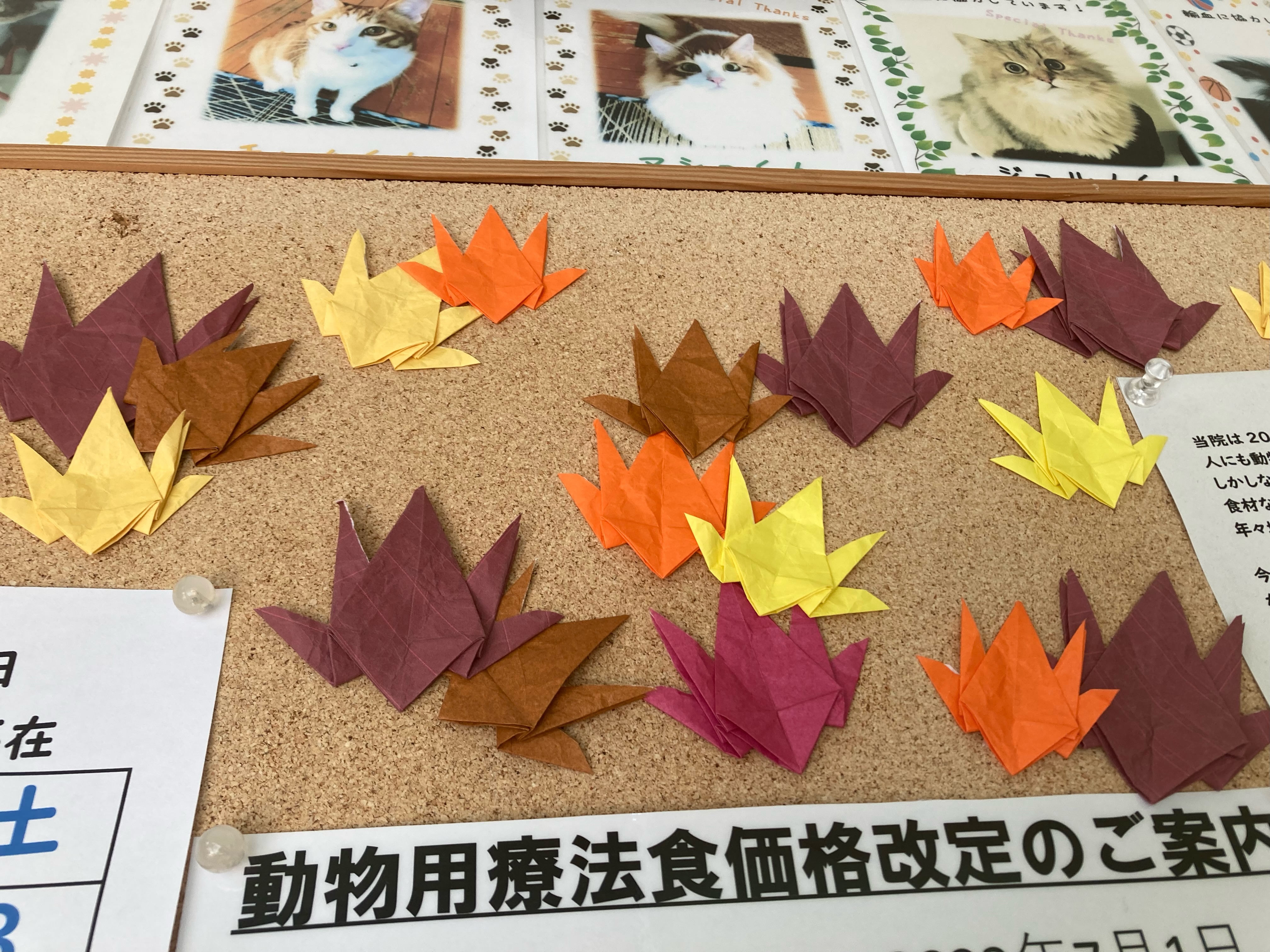 アップ