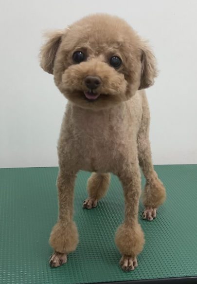 Barneyくん