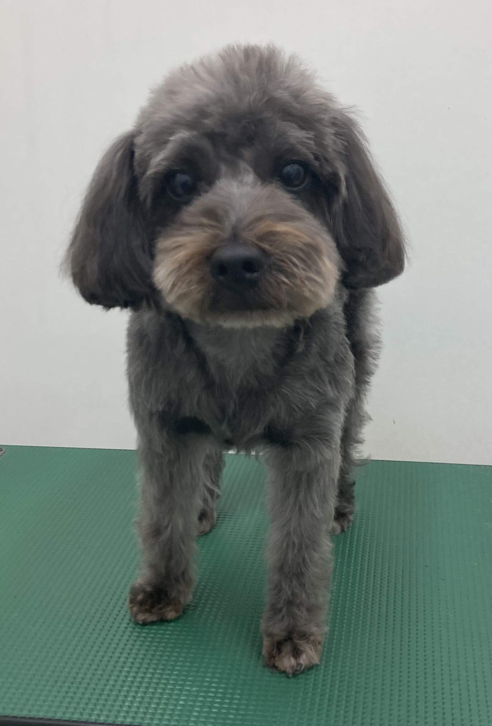 はぎちゃん