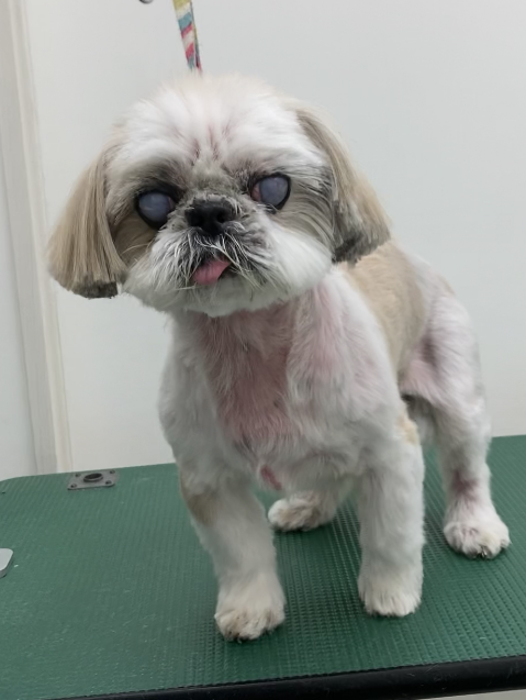 れいちゃん