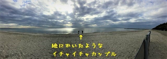 海