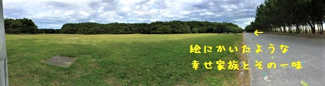 小草原