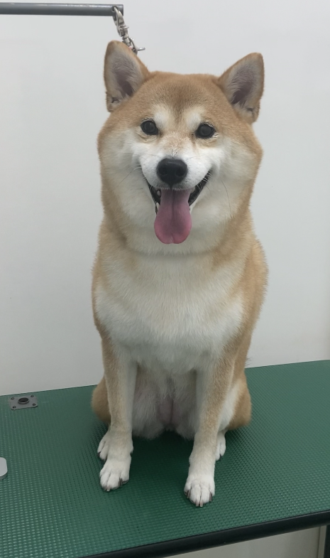 心愛ちゃん