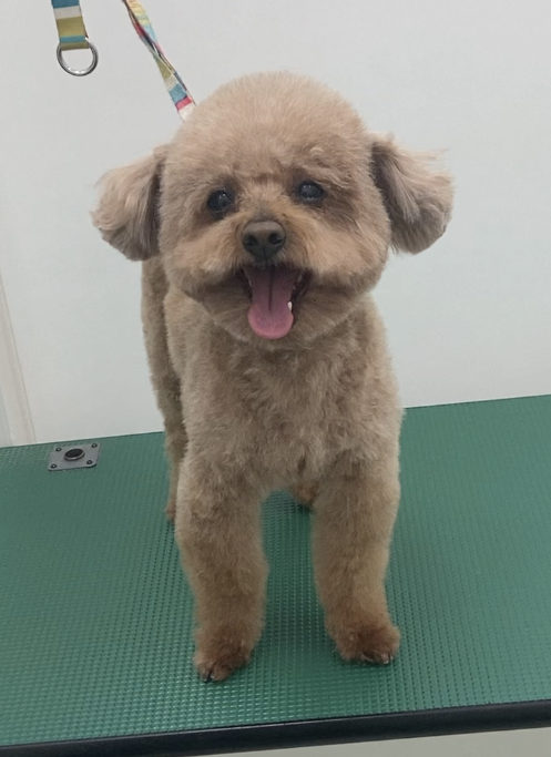 モコちゃん