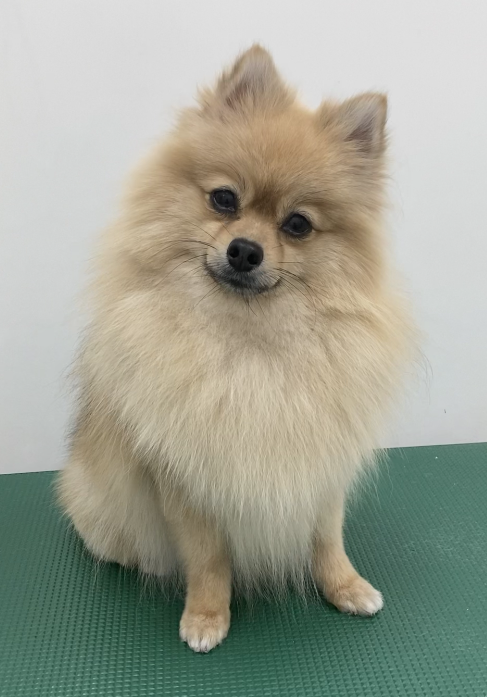 すずちゃん