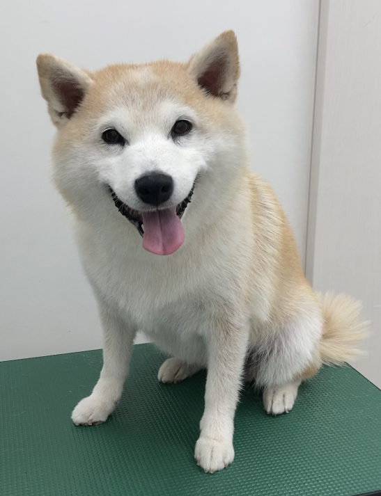 うめちゃん