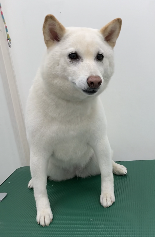 ゆりちゃん