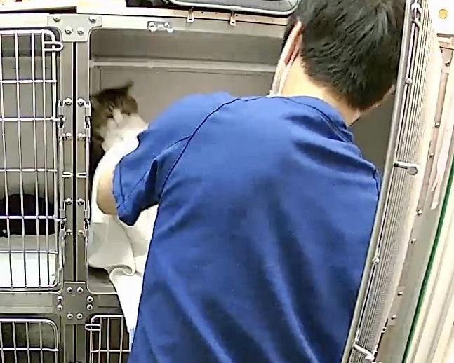 ガブ