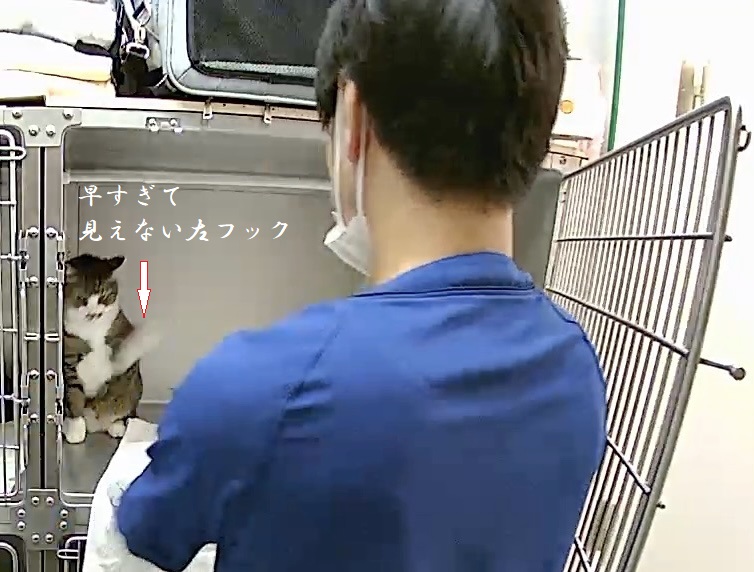 パンチ