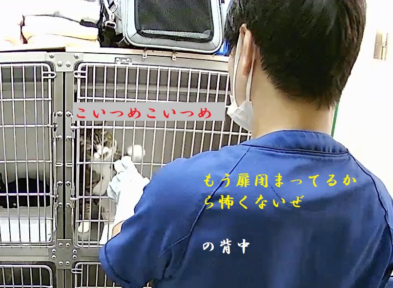 別れのパンチ