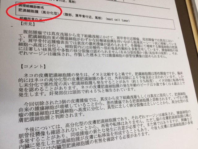 病理結果