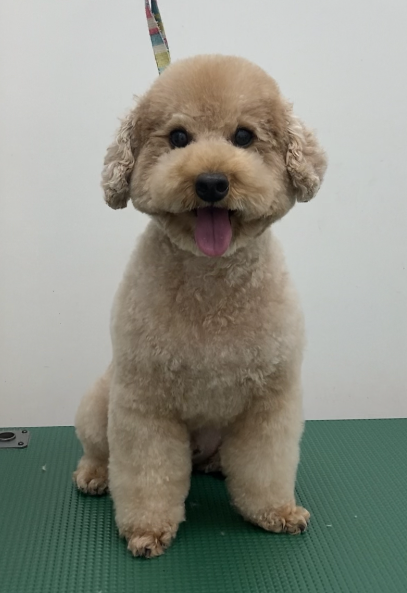ムクくん