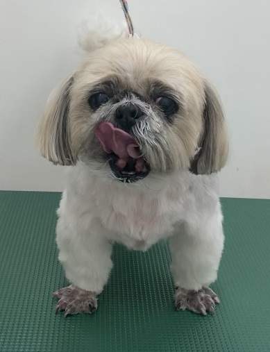 まりちゃん
