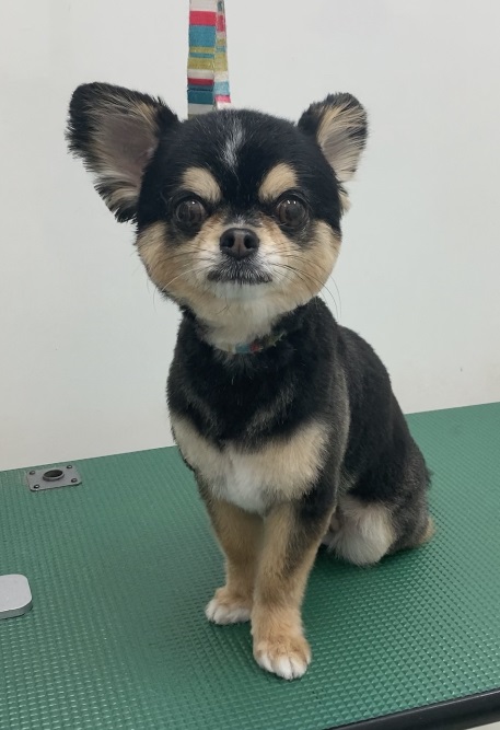 空くん