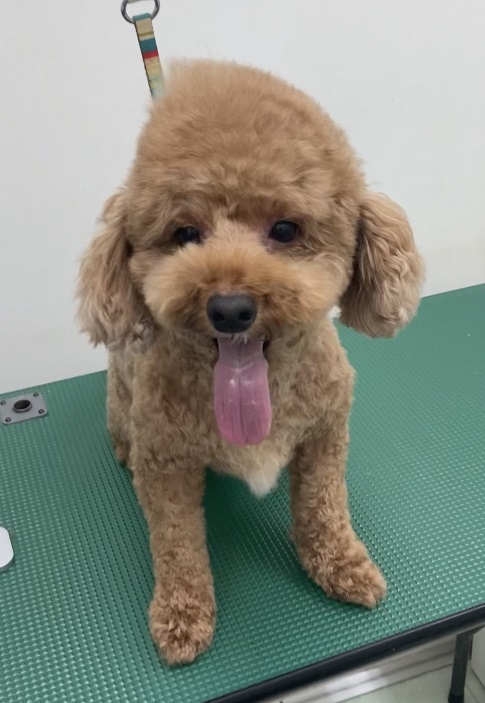ナッツくん