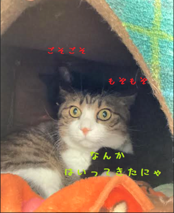 背後