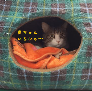 おや?