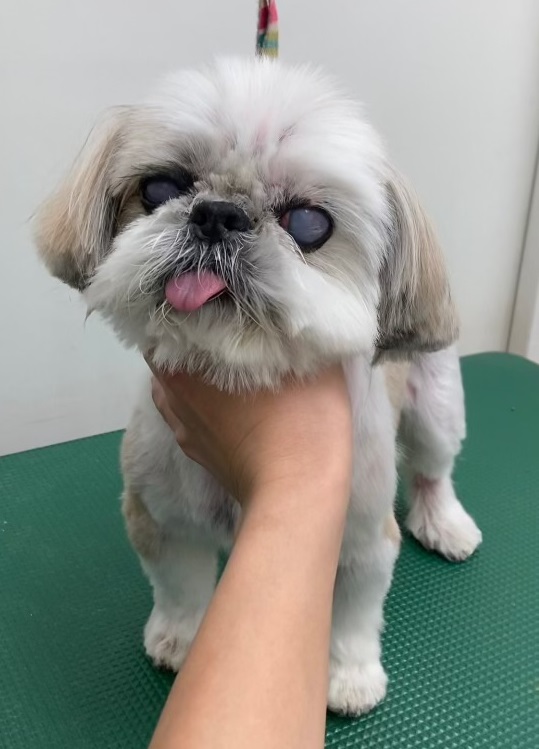 れいちゃん