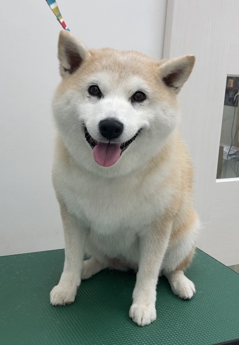 うめちゃん