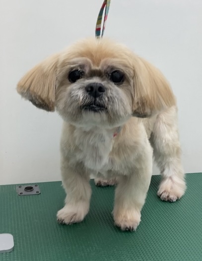 隆之介くん