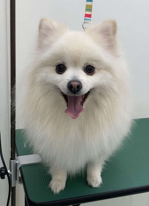 ムーくん