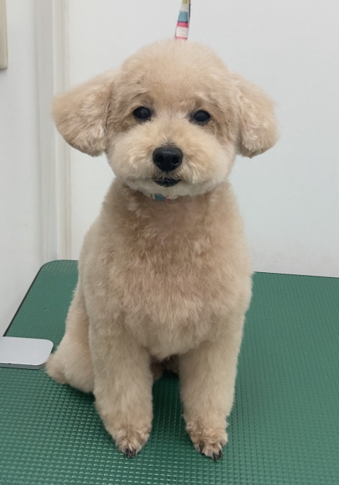 くるみちゃん