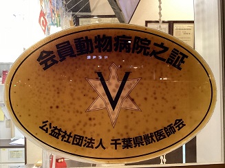 老舗