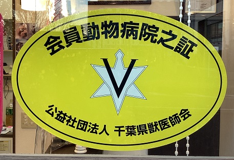 新品