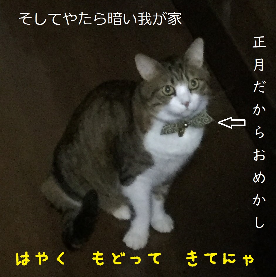 暗闇のんさん