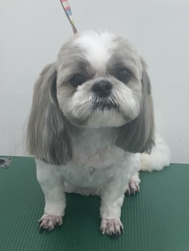 ハナちゃん