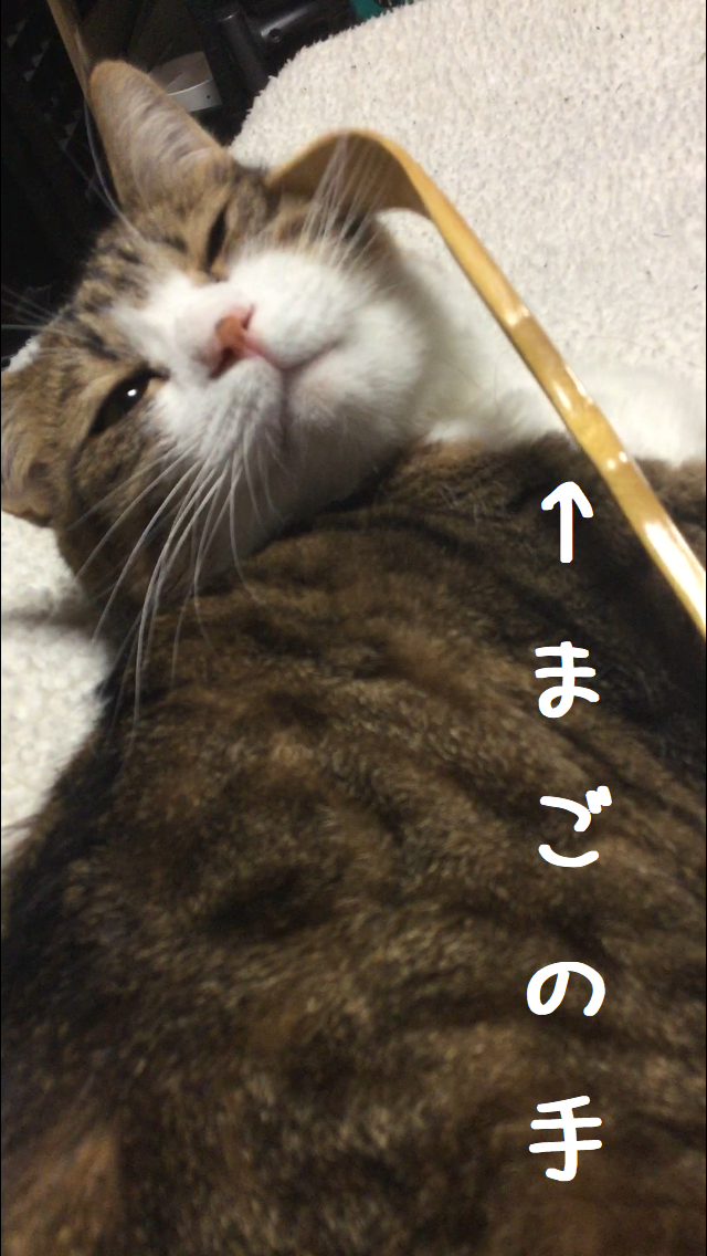 まごの手