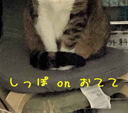 おん