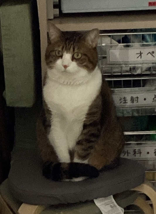 むむん