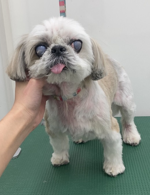 れいちゃん
