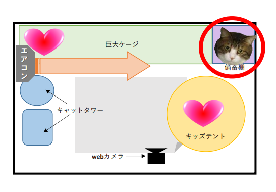 のの発見