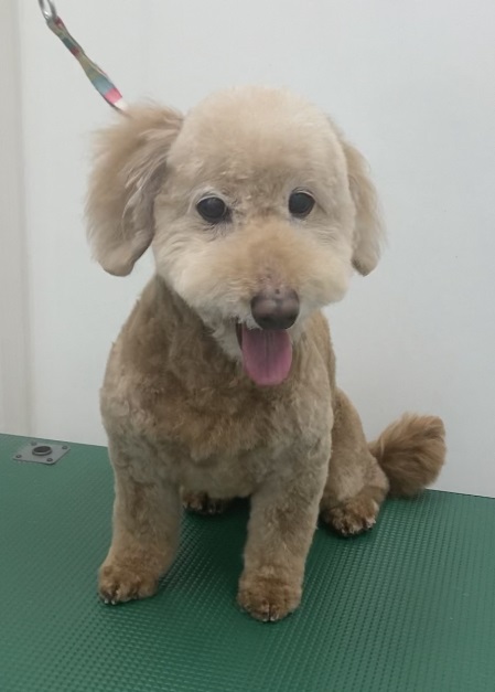 モコちゃん