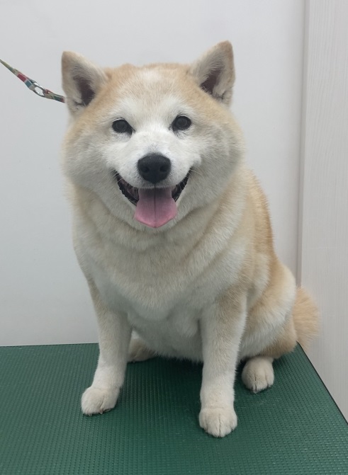 うめちゃん