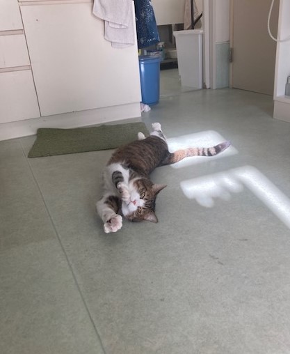 のび