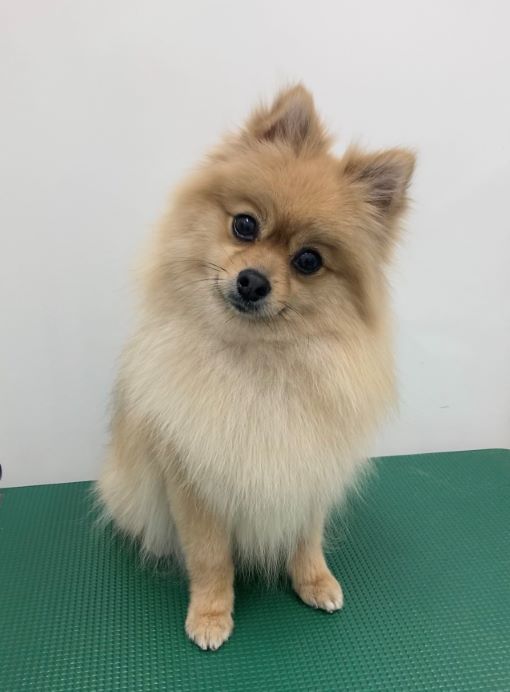 すずちゃん