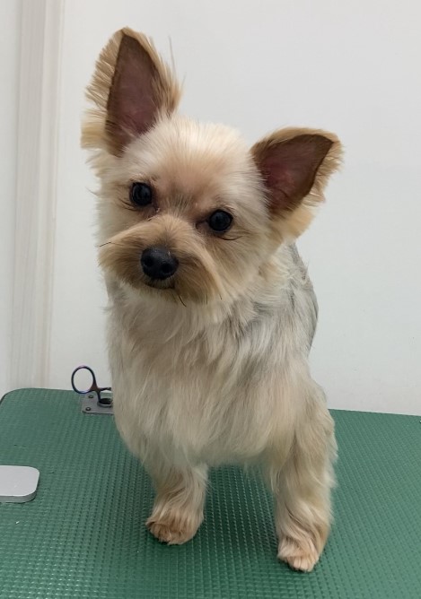 ラキくん