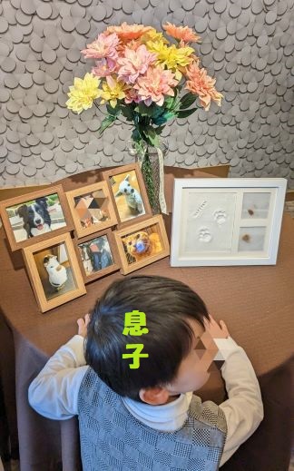 ばば子